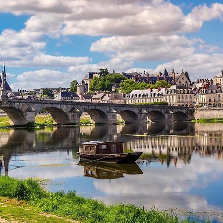 Coeur De Loire Apartment Blois Ngoại thất bức ảnh